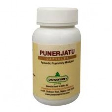 Punerjatu 100 Capsules Pavaman Pharmaceuticals