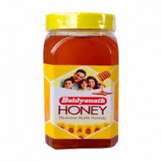 Honey 500g Baidyanath