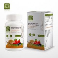 Madhunashini Plus 60 Capsules Vasishta Pharmaceuticals