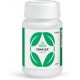 Pilief  40 Tablets Charak
