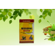 Mediarsh 60 Capsule Rushabh Medicines
