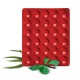 Rhumayog 30 Tablets Zandu
